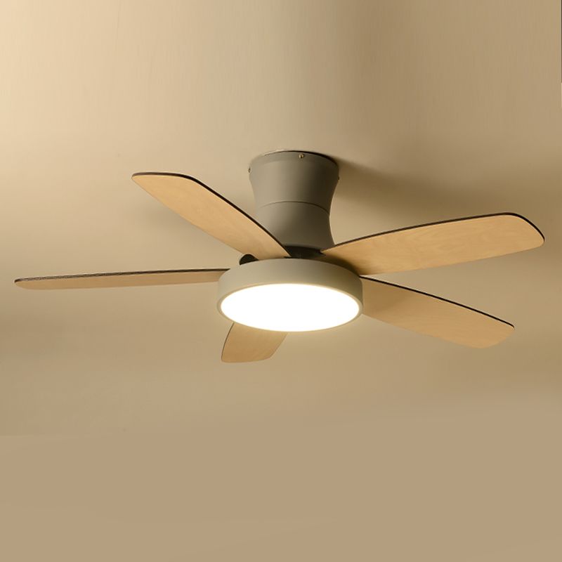 Kids Style Round Shape Ceiling Fan Lamp Metal 1-Light LED Ceiling Fan Light