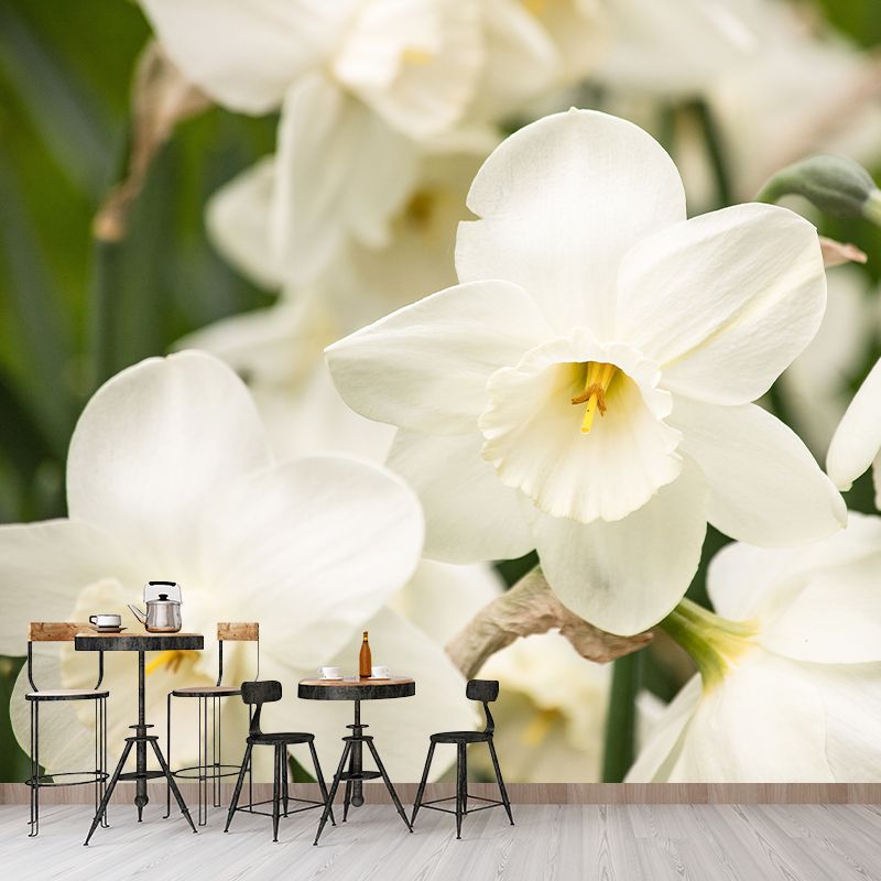 Blooming Daffodils Stain Resistant Wall Covering for Sleeping Room Decoration