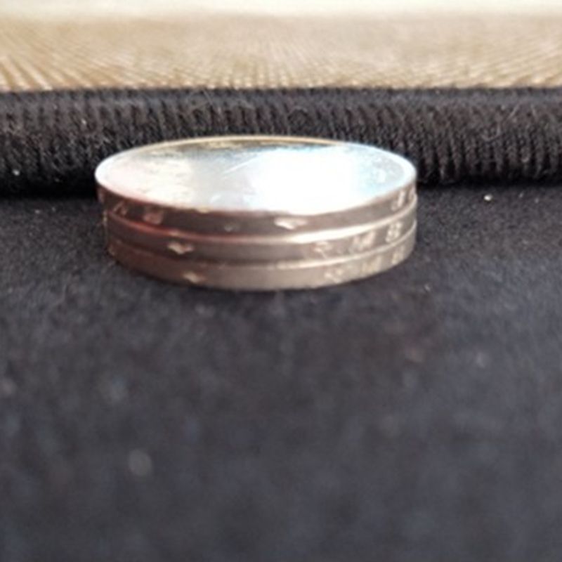 Multicolor Trendy Area Carpet Polyester Palm Leaves Area Rug Stain Resistant Carpet for Living Room