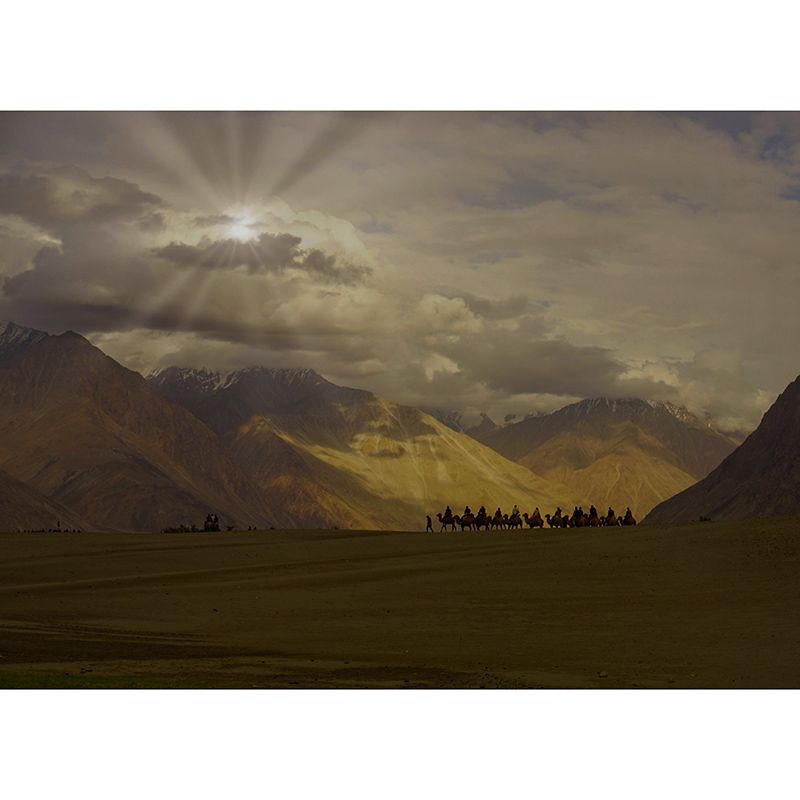 Modern Style Mural Wallpaper Desert Landscape Environment Friendly Bedroom Wall Mural