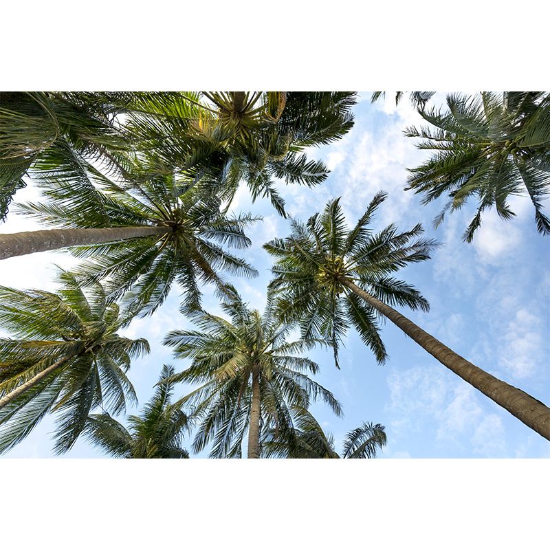 Tropical Palm Trees Customized Modern Decorating Wall Art Living Room Wall Covering