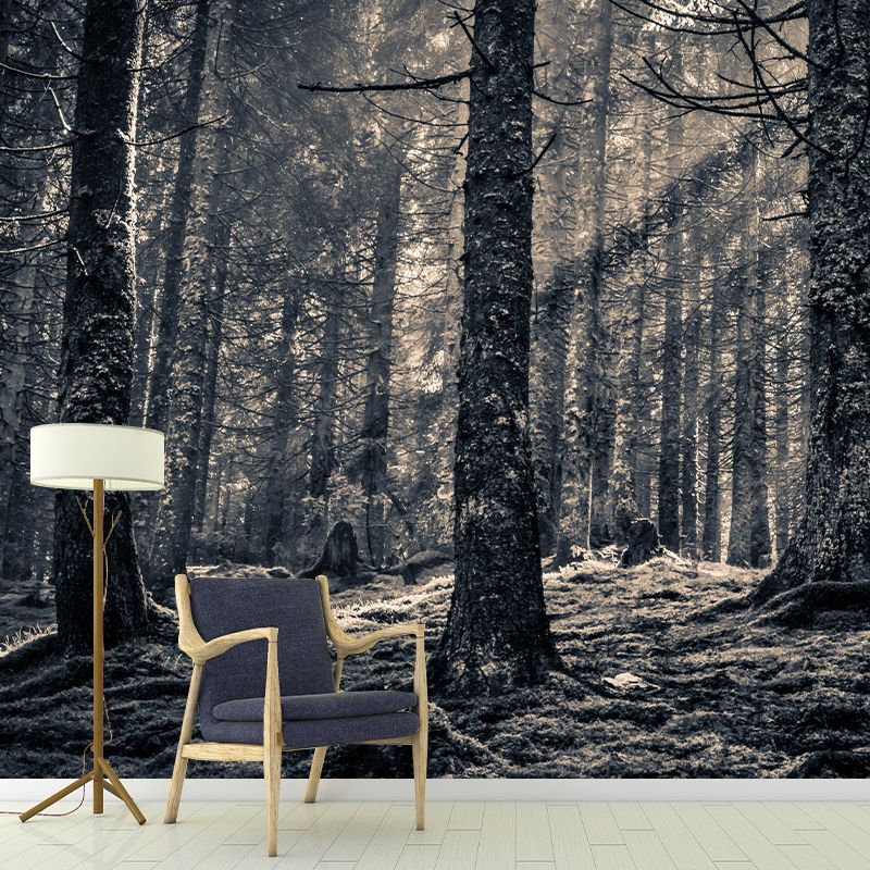 Natural Landscape Wall Mural Decorative Dining Room Wall Art for Decoration