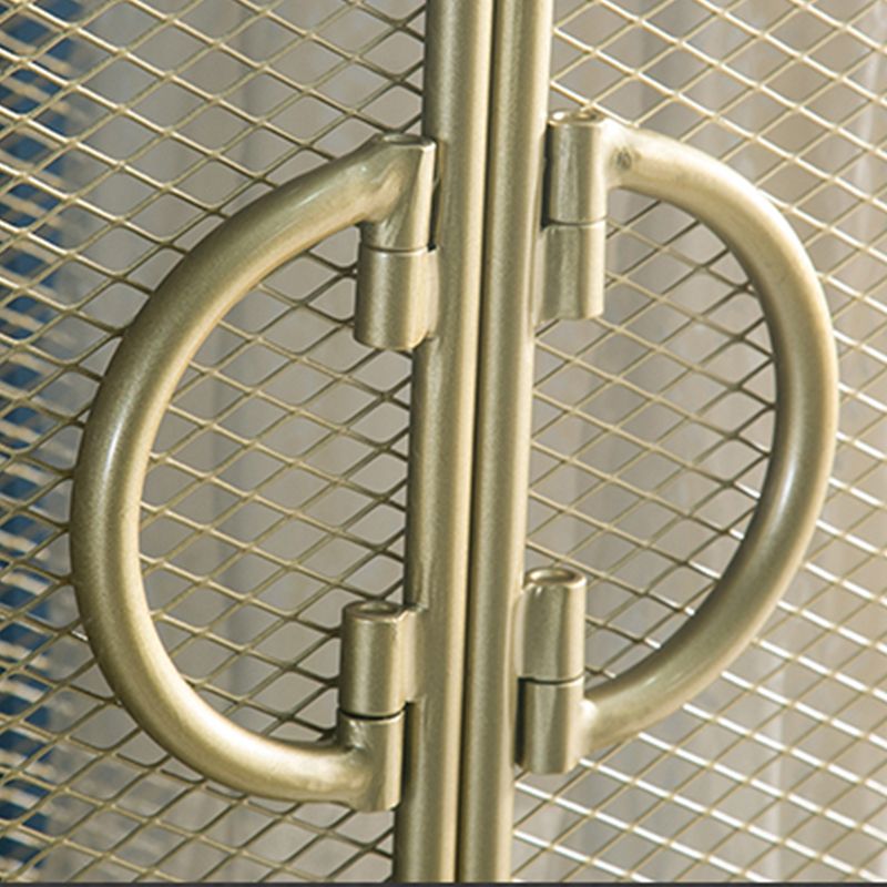 Modern Hinged Door Wardrobe for Home Matte Finish Cabinet with Metal Frame