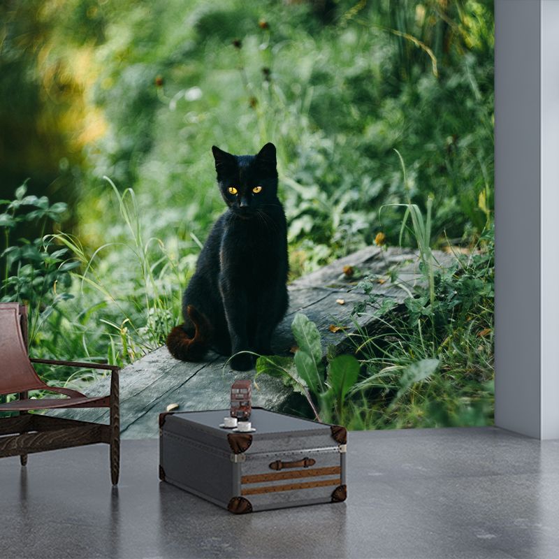 Photography Animal Cat Mural Wallpaper Environment Friendly for Living Room