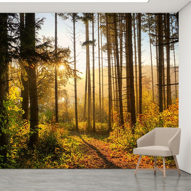Forest Scenery Wall Mural Simple Moisture Resistant Wall Decor for Living Room