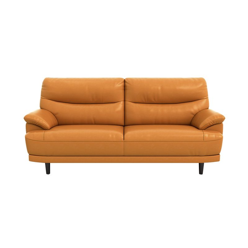 Stain Resistant Leather Pillow Top Arm Biscuit Back Settee Couch