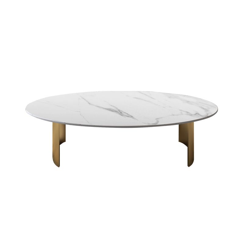 Glam Oval Slate Top Coffee Table Steel 2 Legs Cocktail Table