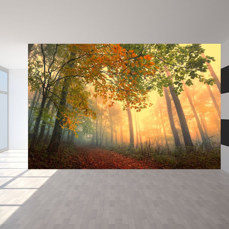 Misty Forest Landscape Wallpaper Mural Contemporary Smooth Wall Covering in Dark Color