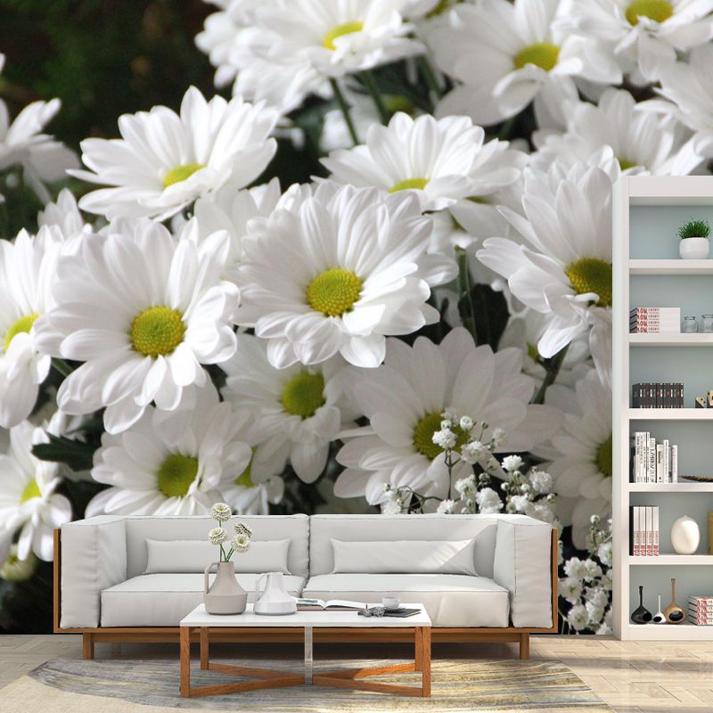 Horizontal Photography Daisy Wall Mural for Living Room Girls Women Bedroom