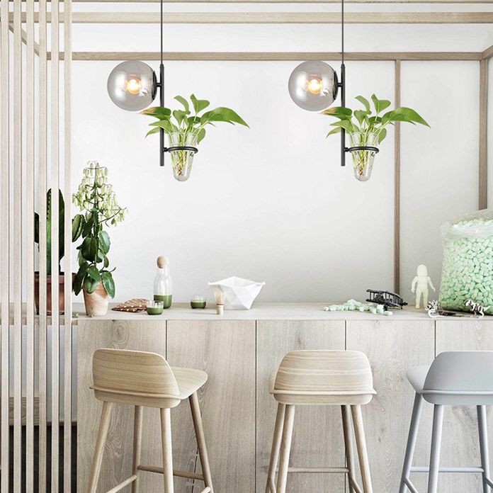 1 Light Hydroponics Botany Pendant Light moderne moderne Minimaliste en verre sphérique Salle de restauration