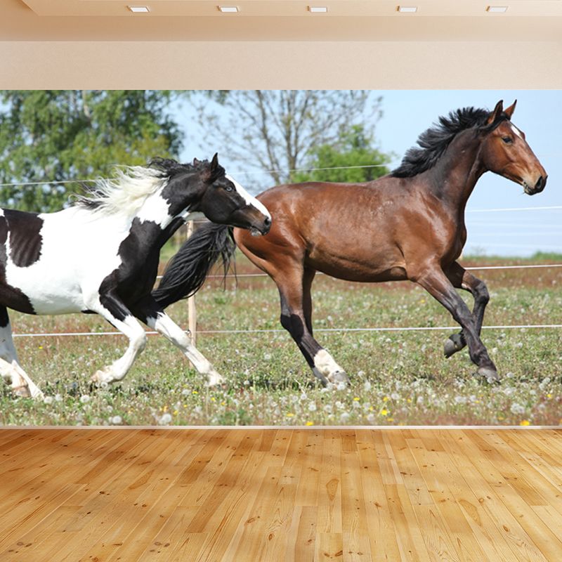 Big Horse Wall Paper Mural Stain Resistant Modern Family Room Wall Art, Custom Print