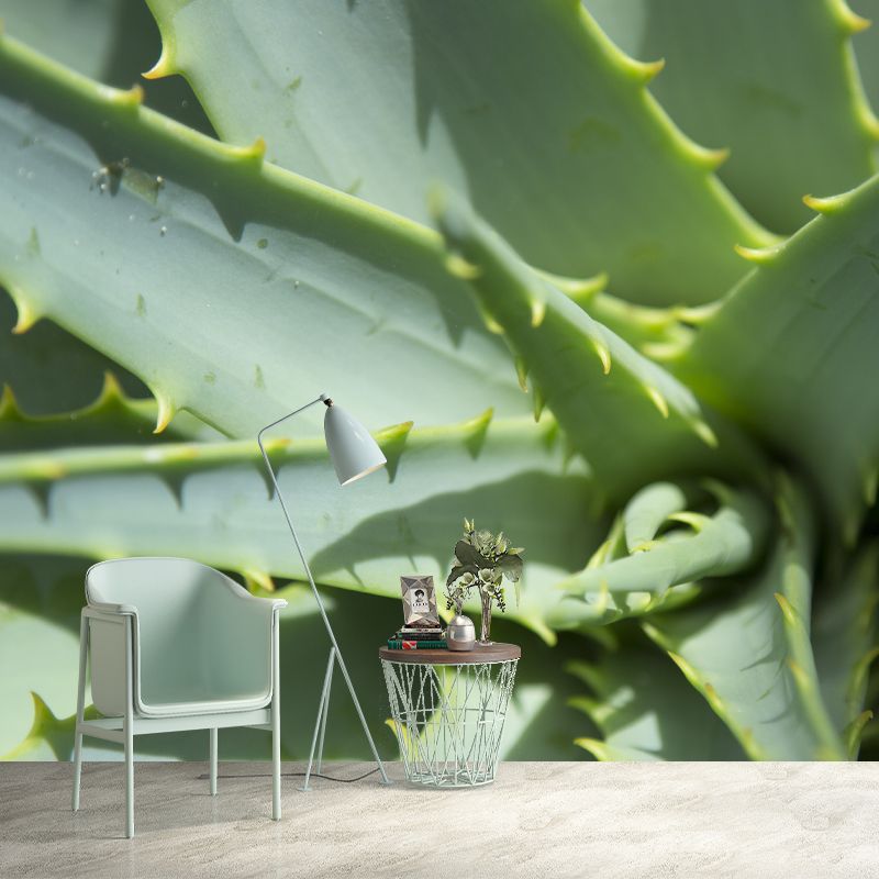 Aloe Plant Mural Wallpaper for Reading Room Bedroom, Custom Size Available