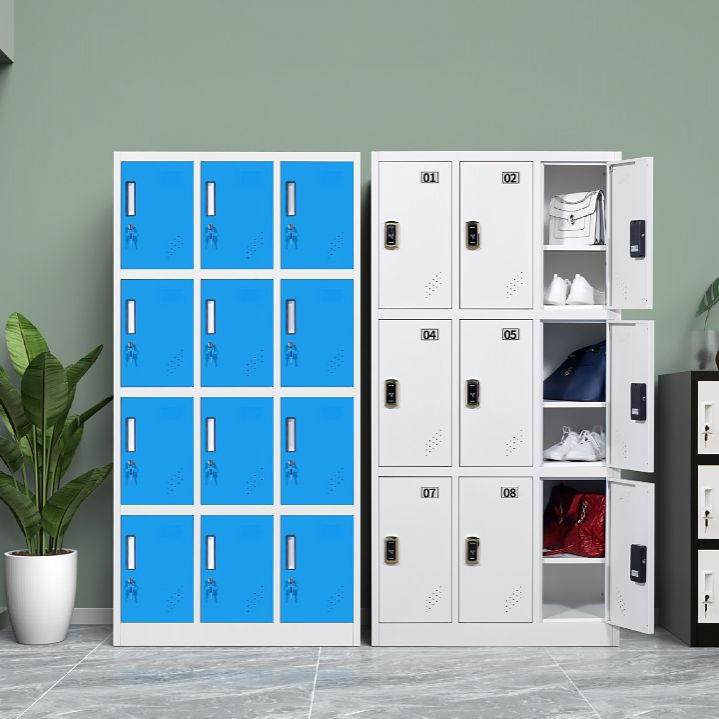 Metallic Finish Cabinet with Hinged Door Contemporary Storage Cabinet for Bathroom