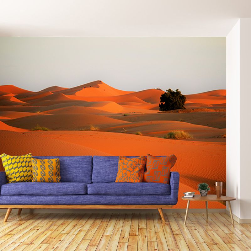 Desert Mural for Sitting Room Moisture Resistant Wall Decor, Contemporary Wall Covering for