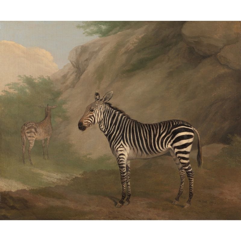 Brown Zebra Drawing Wallpaper Murals Animals Theme Rural Stain-Proof Wall Art for Stairs
