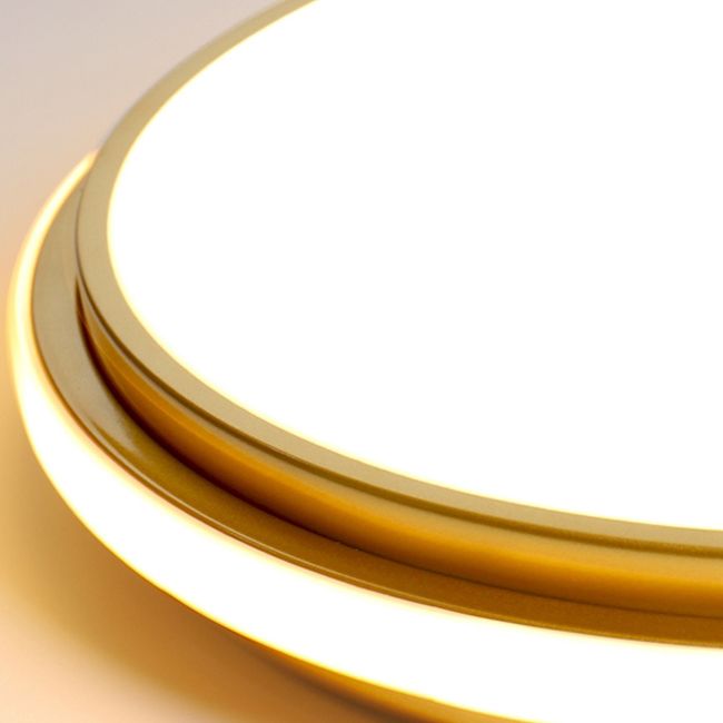 Minimalism Ceiling Light Fixture Gold LED Flush Mount with Metal for Living Room