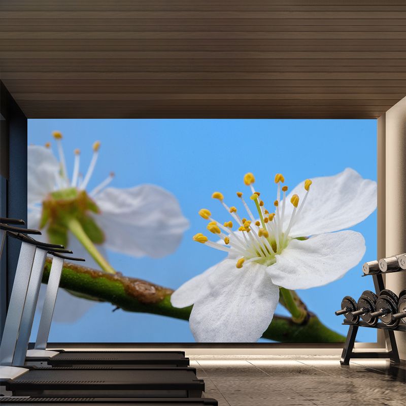 Beautiful Flowers Murals Wallpaper Modern Stain Resistant Wall Decor in Multi-Clor