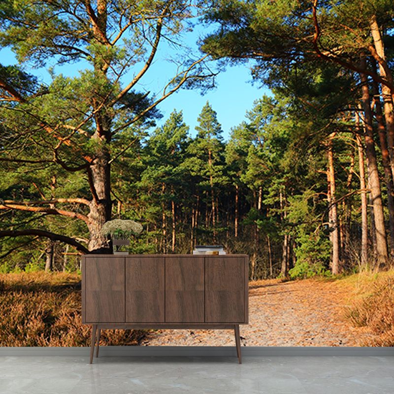 Forest Trees View Mural Moisture Resistant Contemporary Bedroom Wall Covering