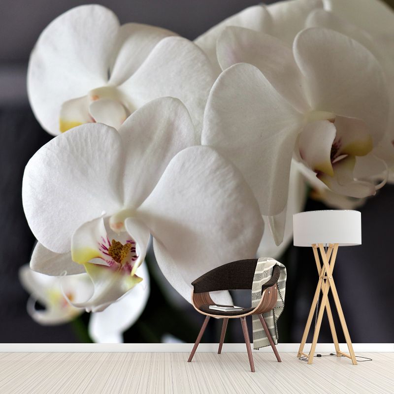 Girl's Bedroom Orchid Mural Personalized Size Minimalist Wall Decor, Personalized Size