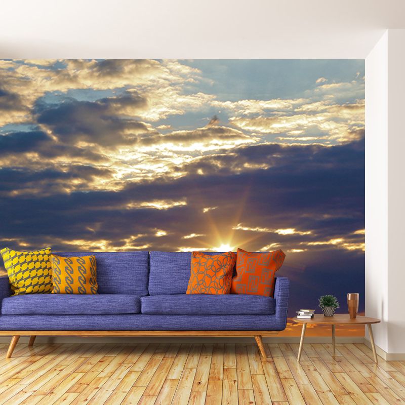 Sitting Room Wall Mural Mildew Resistant Sky Mural Photography