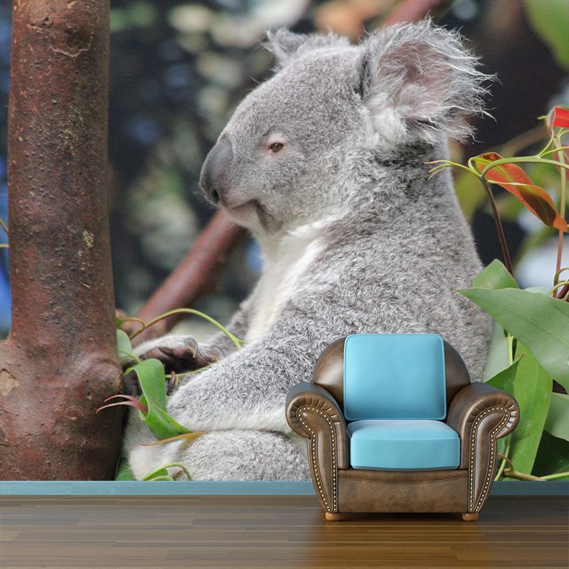 Koala Animals Mural Wallpaper Washable Living Room Wall Decor, Moisture Resistant