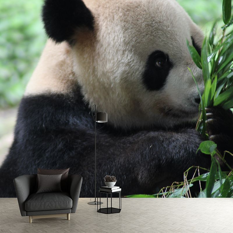 Cute Panda Wall Mural Customized Modern Wall Covering for Bedroom, Water Resistant