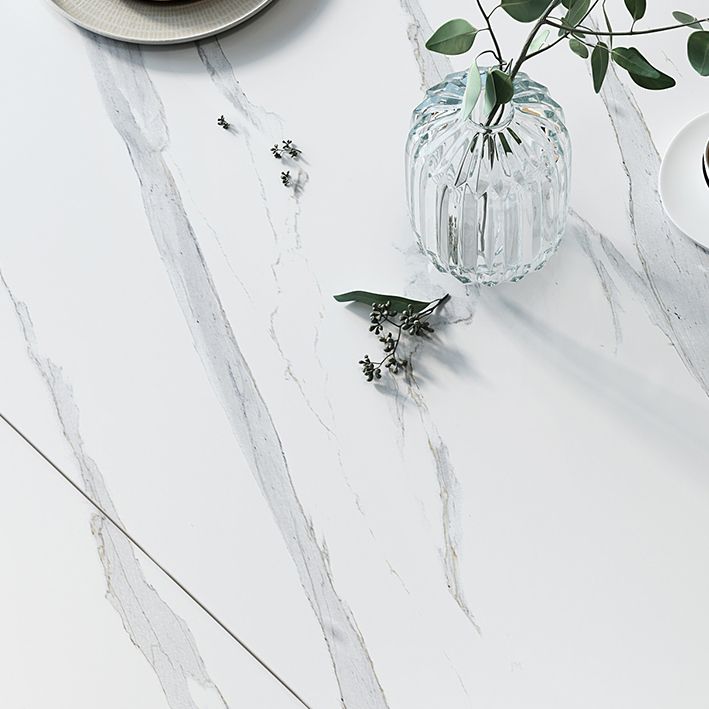 Modern Sintered Stone Dining Room Set with Black Base Dining Furniture for Home Use