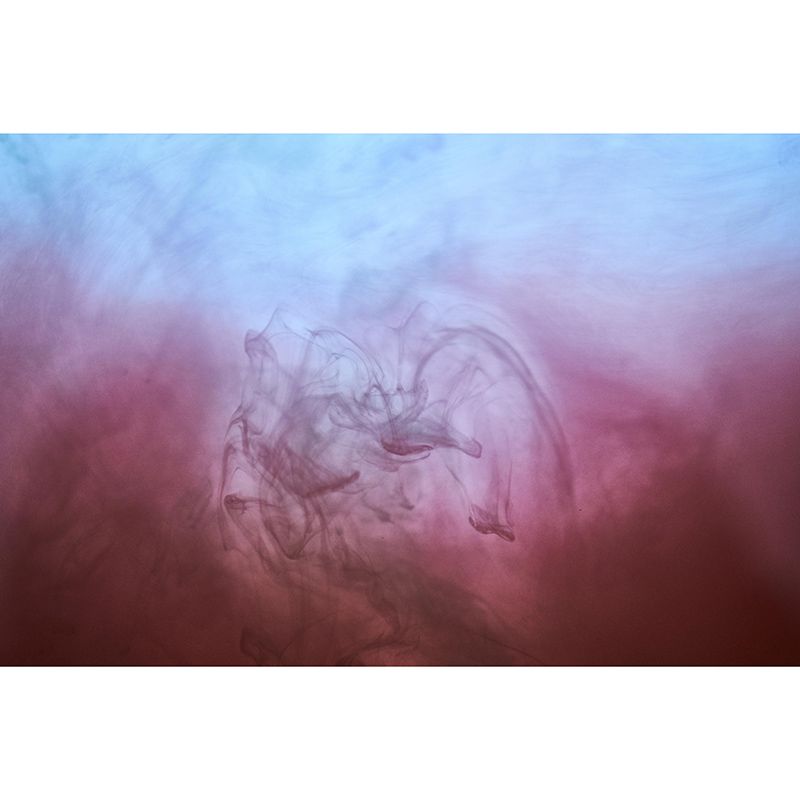 Ink Wall Murals Wallpaper Contemporary Mildew Resistant Wall Murals for Home