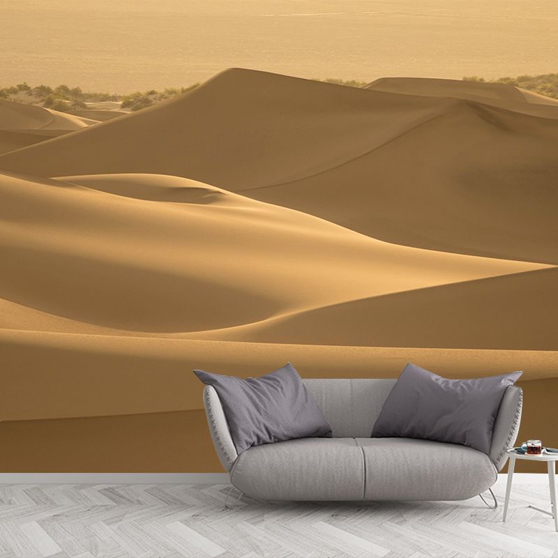 Desert Landscape Photography Stain Resistant Mural Wallpaper Indoor Wall Mural