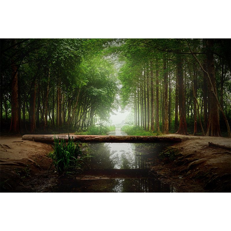 Contemporary Moisture Resistant Forest Mural Wall Covering for Dining Room Wall Decor