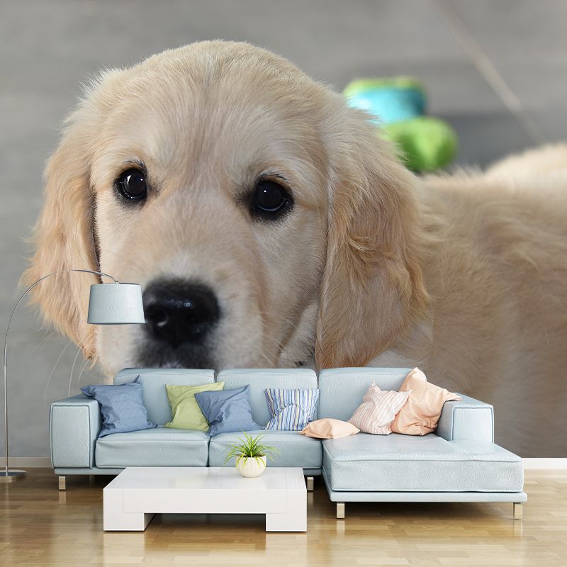 Lovely Dog Wall Mural Removable Wall Covering for Sleeping Room,Water Resistant