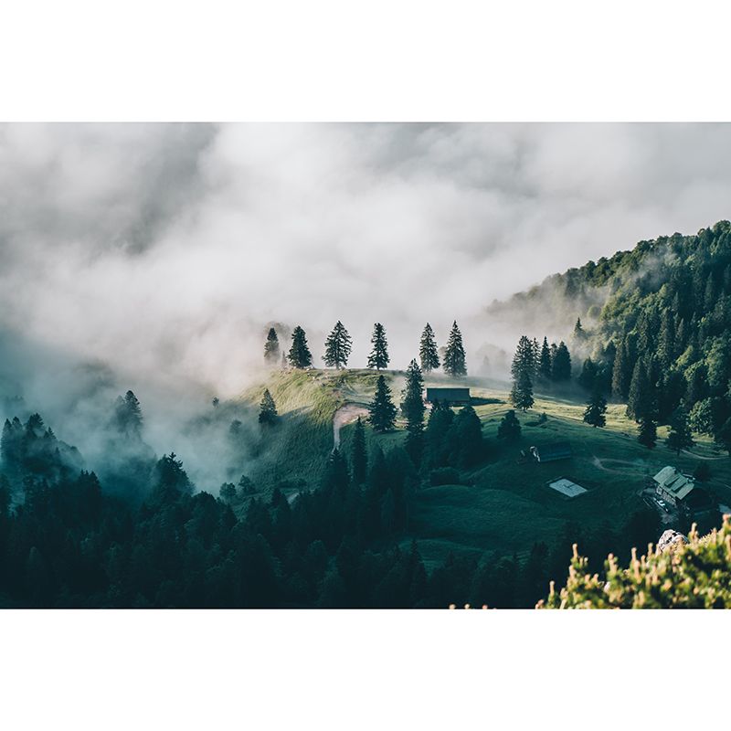 Foggy Forest Mural Wallpaper Wall Covering Mildew Resistant for Sleeping Room