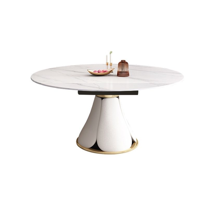 Contemporary Pedestal Dining Table Round Dinner Table for Home