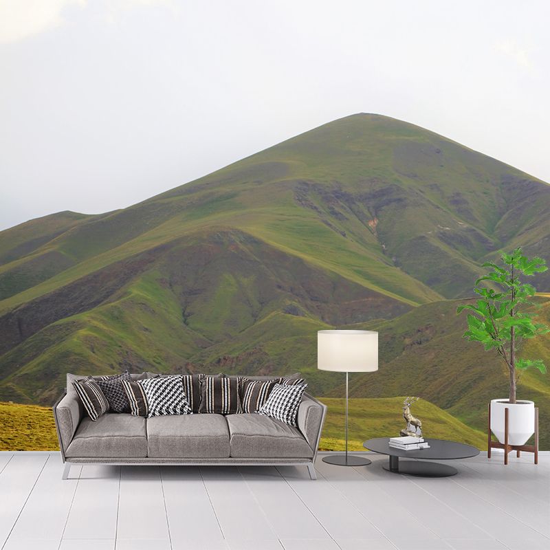 Mountain Wall Mural Wallpaper Modern Mildew Resistant for Decoration