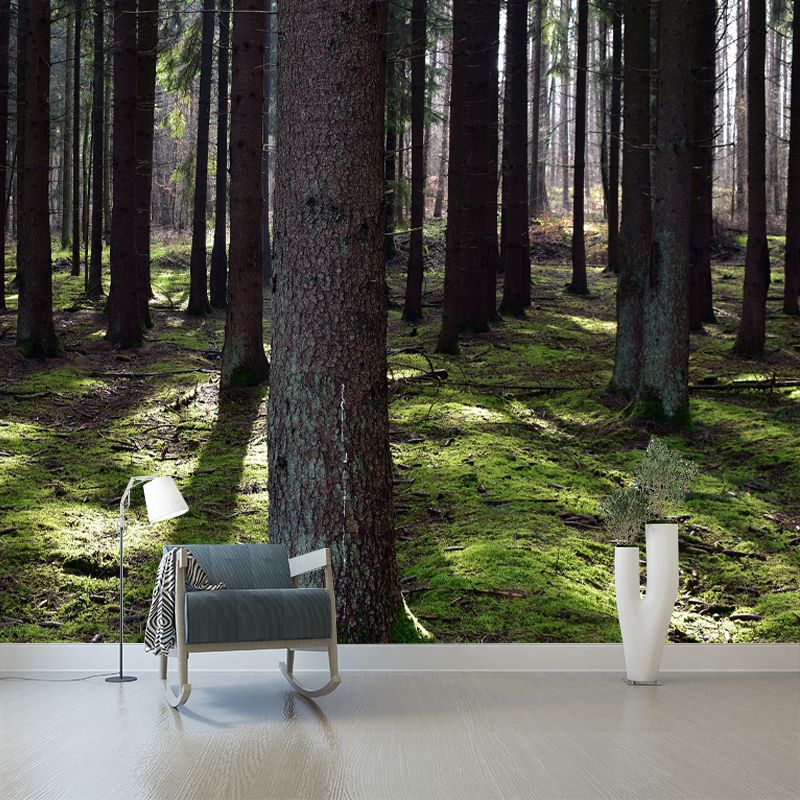 Forest Mural Wallpaper Photo Horizontal Mildew Resistant for Living Room
