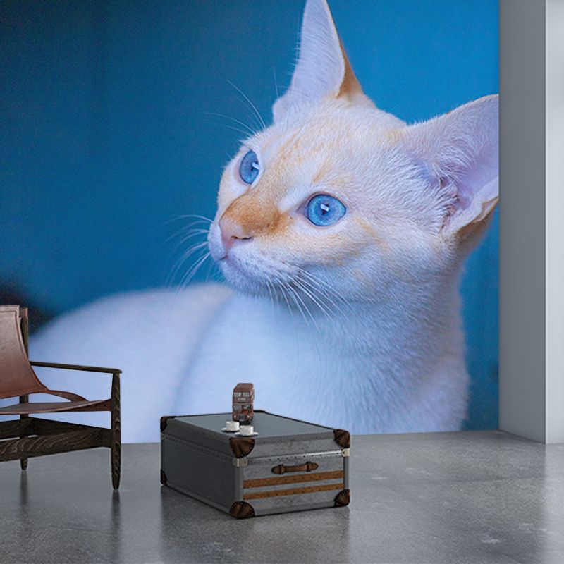 Modern Style Mural Wallpaper Cute Cats Photography Indoor Wall Mural