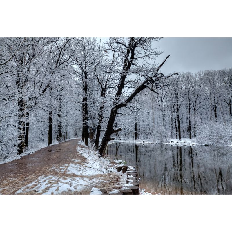 Lake Reflection Snowy Tree Mural Wallpaper Grey Modern Wall Covering for Bedroom