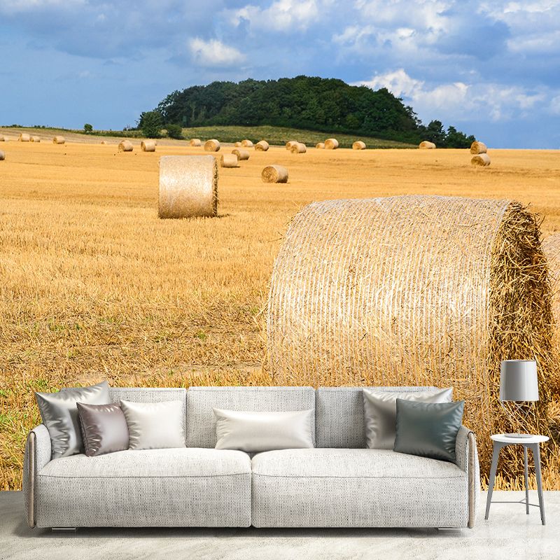 Contemporary Photo Wheat Field Mural Soft Color Stain Resistant Wall Art for Dining Room