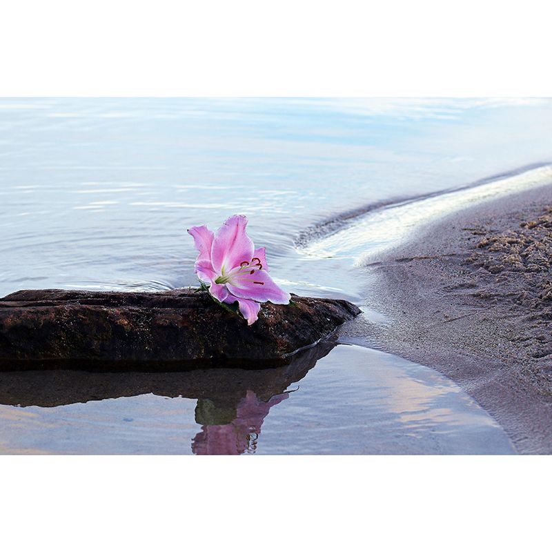 Photography Coastal Mural Wallpaper Mildew Resistant for Living Room Decor