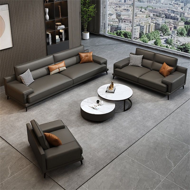 Genuine Leather Stationary Stain Resistant Living Room Gray Sofa