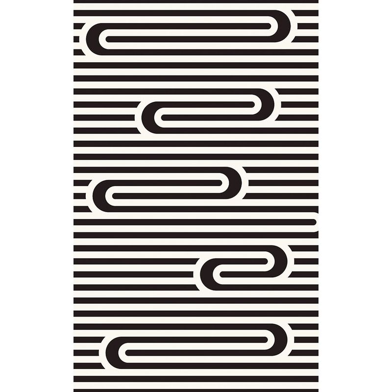 Modern Striped Pattern Rug Black and White Polyester Rug Washable Pet Friendly Non-Slip Area Rug for Living Room
