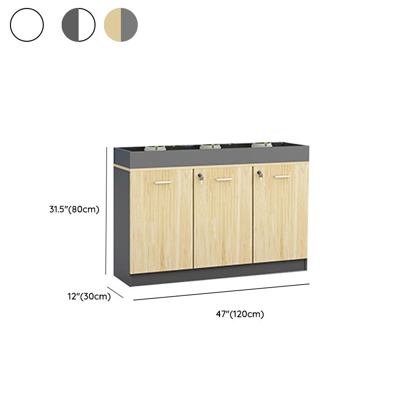 Contemporary Style File Cabinet Wooden Frame Lock Storage Filing Cabinet