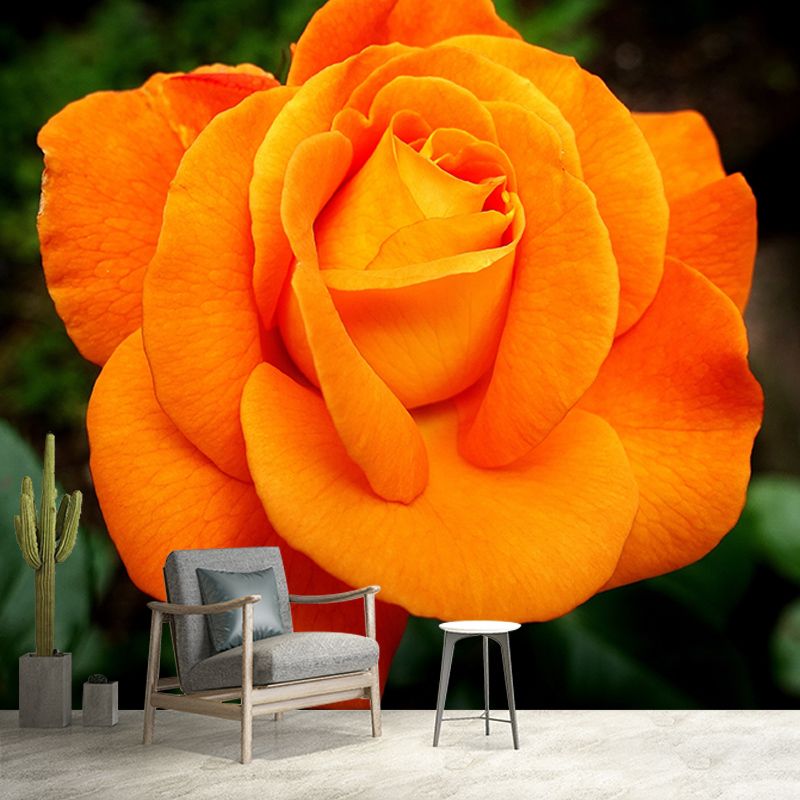 Roses Modern Style Mural Wallpaper Environment Friendly Bedroom Wall Mural