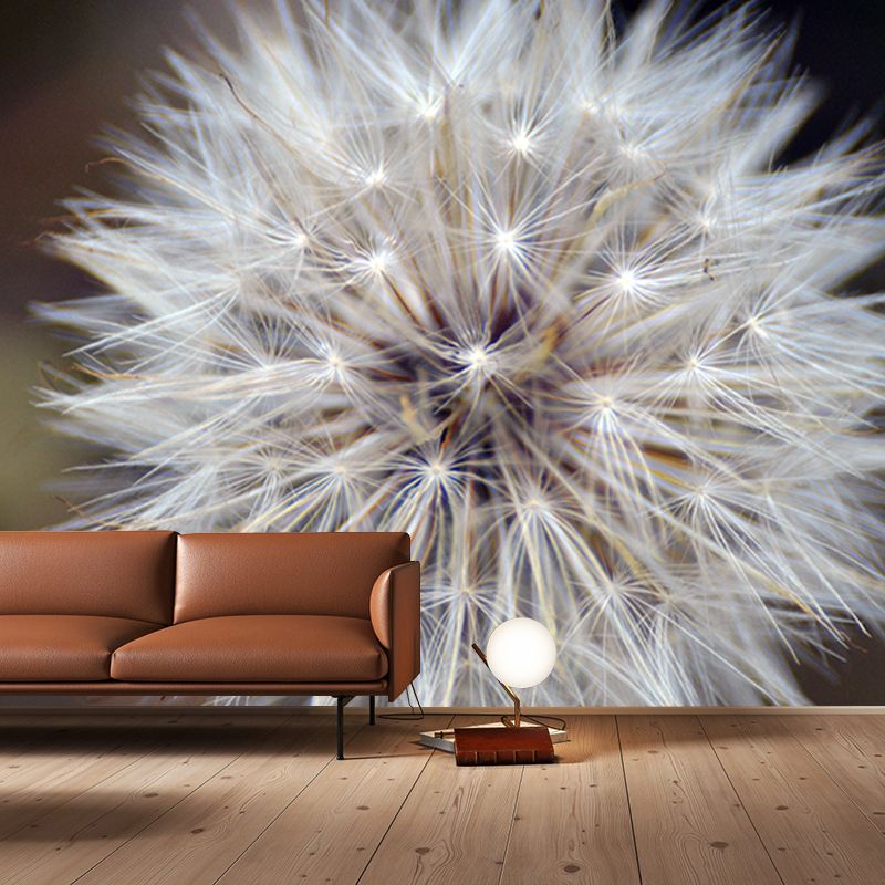 Dandelion Plant Mural Wallpaper Home Decor Water Resistant Wallpaper for Living Room