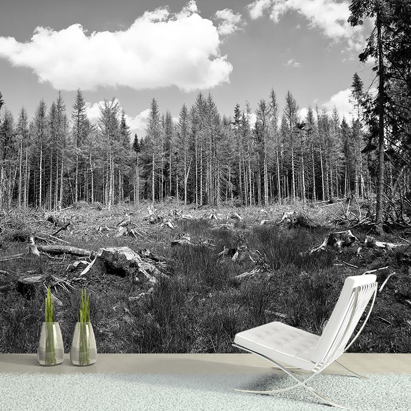 Dining Room Customized Decorative Murals Forest Wall Murals Wallpaper