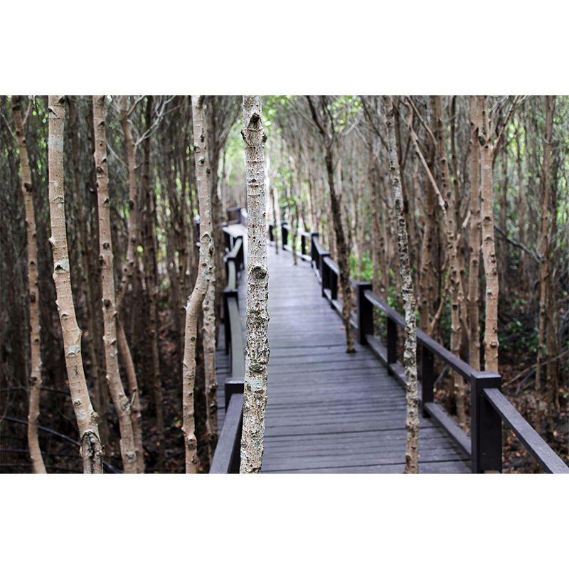 Eco-friendly Space Extension Mural Horizontal Photography for Room