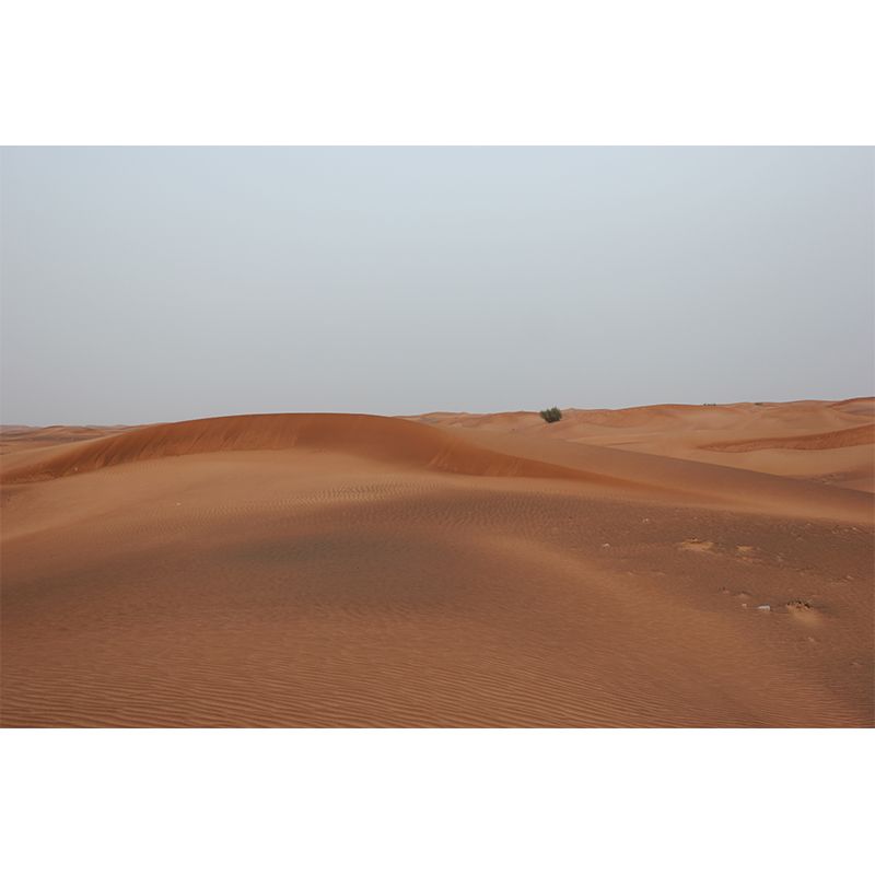 Photo Desert Hillock Wallpaper Mural Sleeping Room Wall Art, Personalized Size