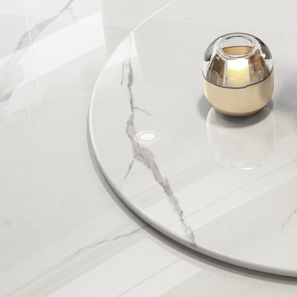 Modern Style 1/4/5/7/9 Pieces Dining Sintered Stone Dining Table Set with Metal Legs