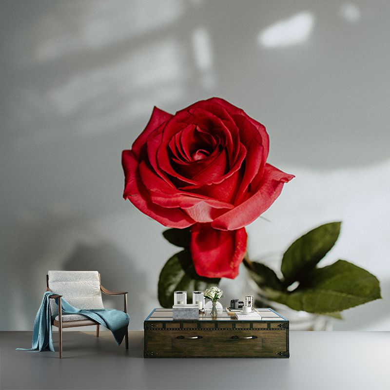 Photography Environment Friendly Mural Wallpaper Beautiful Roses Bedroom Wall Mural