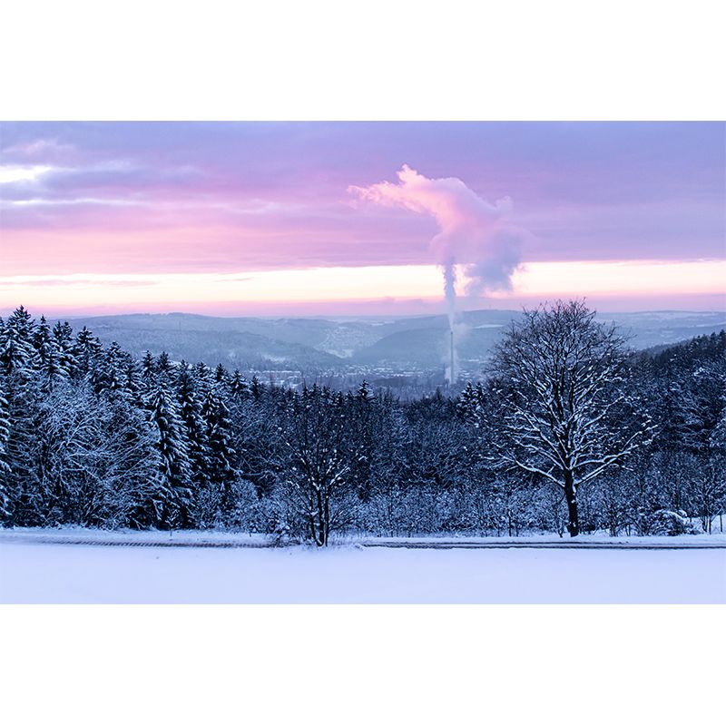 Environment Friendly Decorative Murals Forest Wall Murals for Home